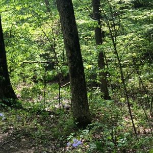 Meet your Posher, Jayakrishna